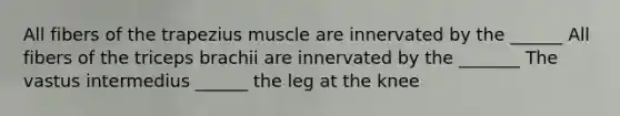 All fibers of the trapezius muscle are innervated by the ______ All fibers of the triceps brachii are innervated by the _______ The vastus intermedius ______ the leg at the knee