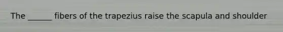 The ______ fibers of the trapezius raise the scapula and shoulder