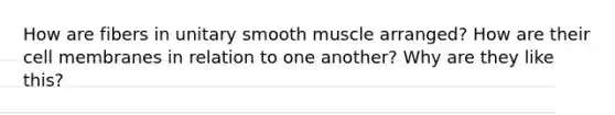 How are fibers in unitary smooth muscle arranged? How are their cell membranes in relation to one another? Why are they like this?