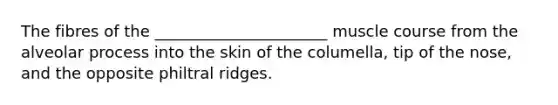 The fibres of the ______________________ muscle course from the alveolar process into the skin of the columella, tip of the nose, and the opposite philtral ridges.