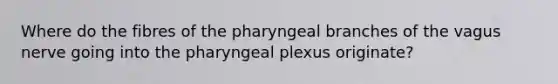 Where do the fibres of the pharyngeal branches of the vagus nerve going into the pharyngeal plexus originate?