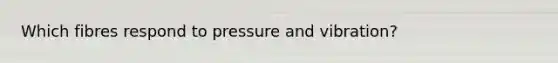 Which fibres respond to pressure and vibration?