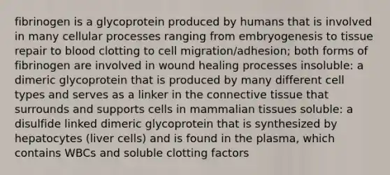 fibrinogen is a glycoprotein produced by humans that is involved in many cellular processes ranging from embryogenesis to tissue repair to blood clotting to cell migration/adhesion; both forms of fibrinogen are involved in wound healing processes insoluble: a dimeric glycoprotein that is produced by many different cell types and serves as a linker in the connective tissue that surrounds and supports cells in mammalian tissues soluble: a disulfide linked dimeric glycoprotein that is synthesized by hepatocytes (liver cells) and is found in the plasma, which contains WBCs and soluble clotting factors