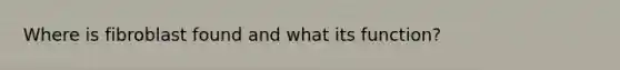 Where is fibroblast found and what its function?