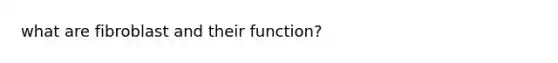 what are fibroblast and their function?