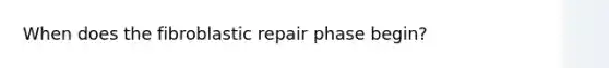 When does the fibroblastic repair phase begin?