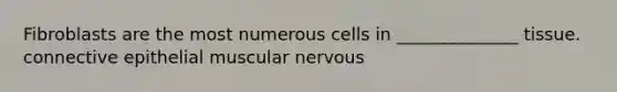 Fibroblasts are the most numerous cells in ______________ tissue. connective epithelial muscular nervous