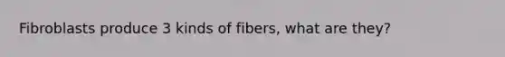 Fibroblasts produce 3 kinds of fibers, what are they?