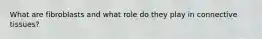 What are fibroblasts and what role do they play in connective tissues?