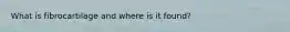 What is fibrocartilage and where is it found?