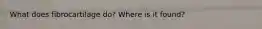 What does fibrocartilage do? Where is it found?