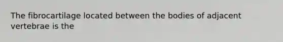 The fibrocartilage located between the bodies of adjacent vertebrae is the