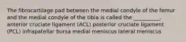 The fibrocartilage pad between the medial condyle of the femur and the medial condyle of the tibia is called the __________. anterior cruciate ligament (ACL) posterior cruciate ligament (PCL) infrapatellar bursa medial meniscus lateral meniscus