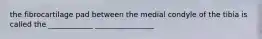 the fibrocartilage pad between the medial condyle of the tibia is called the ____________ ________________