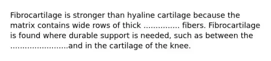 Fibrocartilage is stronger than hyaline cartilage because the matrix contains wide rows of thick ............... fibers. Fibrocartilage is found where durable support is needed, such as between the ........................and in the cartilage of the knee.