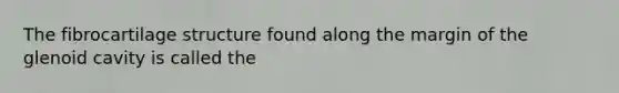 The fibrocartilage structure found along the margin of the glenoid cavity is called the
