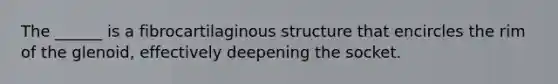 The ______ is a fibrocartilaginous structure that encircles the rim of the glenoid, effectively deepening the socket.