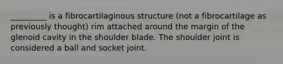 _________ is a fibrocartilaginous structure (not a fibrocartilage as previously thought) rim attached around the margin of the glenoid cavity in the shoulder blade. The shoulder joint is considered a ball and socket joint.