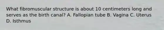 What fibromuscular structure is about 10 centimeters long and serves as the birth canal? A. Fallopian tube B. Vagina C. Uterus D. Isthmus