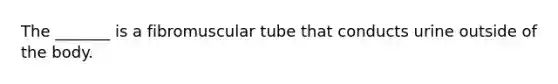 The _______ is a fibromuscular tube that conducts urine outside of the body.