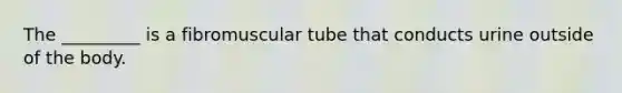 The _________ is a fibromuscular tube that conducts urine outside of the body.