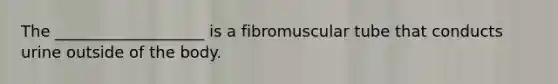 The ___________________ is a fibromuscular tube that conducts urine outside of the body.