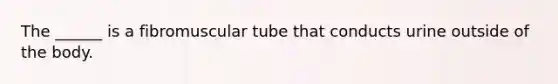 The ______ is a fibromuscular tube that conducts urine outside of the body.