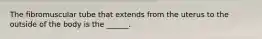 The fibromuscular tube that extends from the uterus to the outside of the body is the ______.