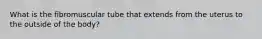 What is the fibromuscular tube that extends from the uterus to the outside of the body?