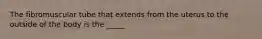 The fibromuscular tube that extends from the uterus to the outside of the body is the _____