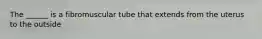 The ______ is a fibromuscular tube that extends from the uterus to the outside