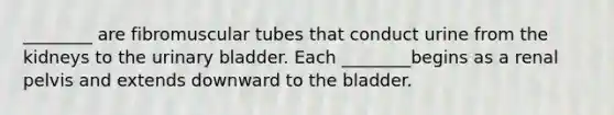 ________ are fibromuscular tubes that conduct urine from the kidneys to the urinary bladder. Each ________begins as a renal pelvis and extends downward to the bladder.