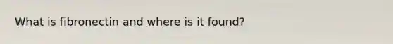 What is fibronectin and where is it found?
