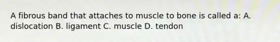 A fibrous band that attaches to muscle to bone is called a: A. dislocation B. ligament C. muscle D. tendon