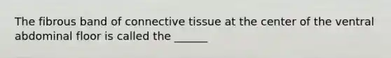 The fibrous band of connective tissue at the center of the ventral abdominal floor is called the ______