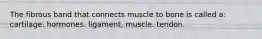 The fibrous band that connects muscle to bone is called a: cartilage. hormones. ligament. muscle. tendon.