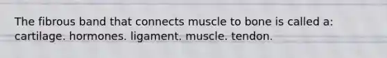 The fibrous band that connects muscle to bone is called a: cartilage. hormones. ligament. muscle. tendon.