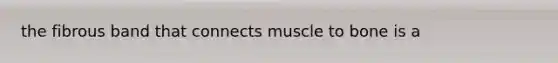 the fibrous band that connects muscle to bone is a