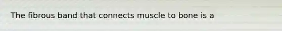 The fibrous band that connects muscle to bone is a