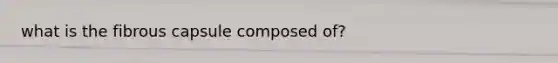 what is the fibrous capsule composed of?