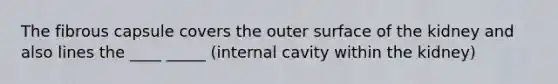 The fibrous capsule covers the outer surface of the kidney and also lines the ____ _____ (internal cavity within the kidney)