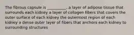 The fibrous capsule is __________. a layer of adipose tissue that surrounds each kidney a layer of collagen fibers that covers the outer surface of each kidney the outermost region of each kidney a dense outer layer of fibers that anchors each kidney to surrounding structures