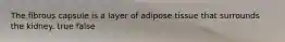 The fibrous capsule is a layer of adipose tissue that surrounds the kidney. true false