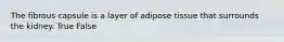 The fibrous capsule is a layer of adipose tissue that surrounds the kidney. True False