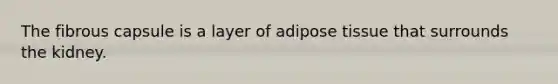 The fibrous capsule is a layer of adipose tissue that surrounds the kidney.