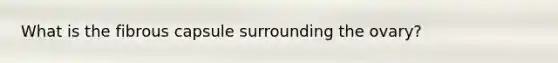 What is the fibrous capsule surrounding the ovary?