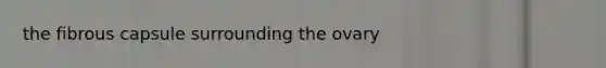 the fibrous capsule surrounding the ovary