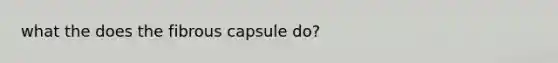 what the does the fibrous capsule do?