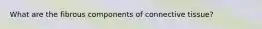 What are the fibrous components of connective tissue?