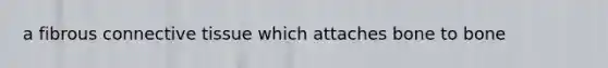 a fibrous <a href='https://www.questionai.com/knowledge/kYDr0DHyc8-connective-tissue' class='anchor-knowledge'>connective tissue</a> which attaches bone to bone